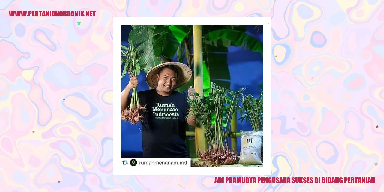 adi pramudya pengusaha sukses di bidang pertanian