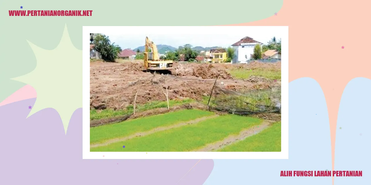 Alih Fungsi Lahan Pertanian