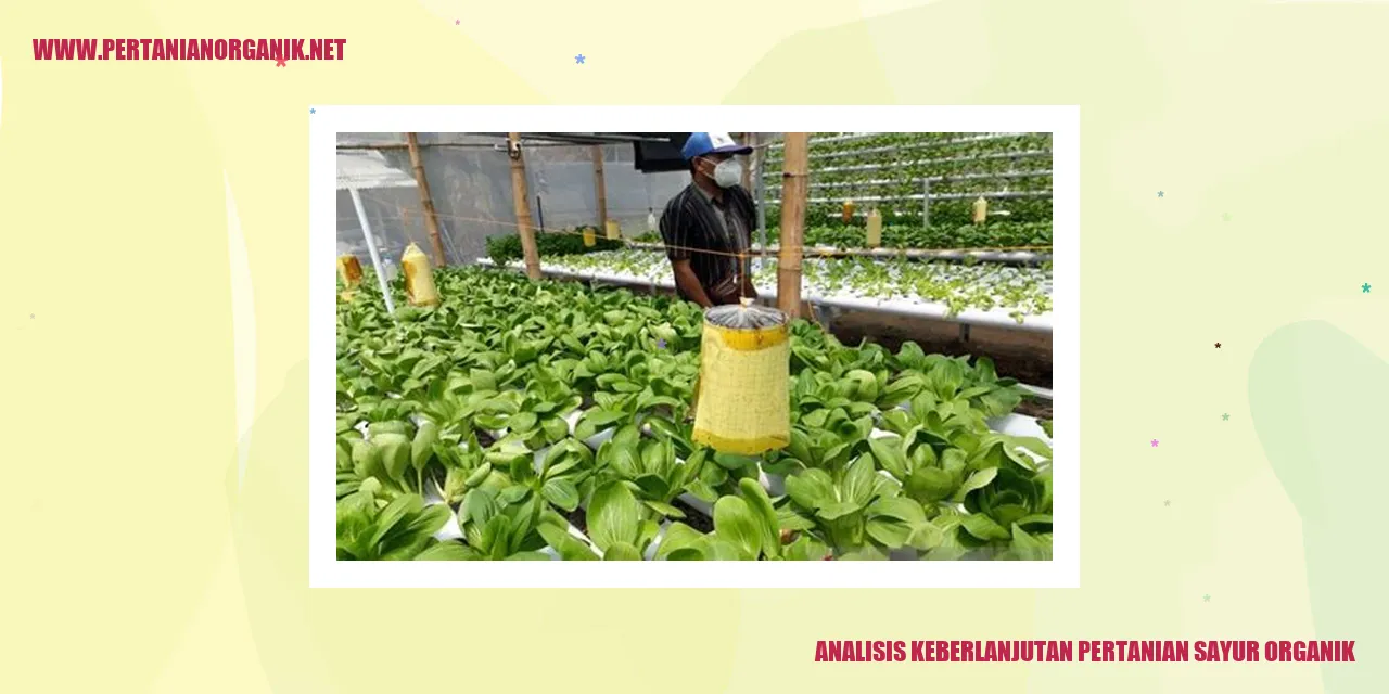 Analisis Keberlanjutan Pertanian Sayur Organik
