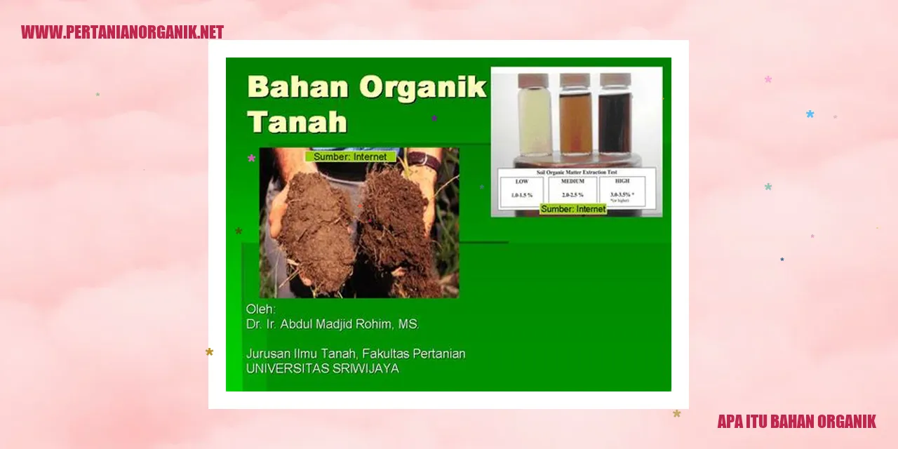 Bahan Organik