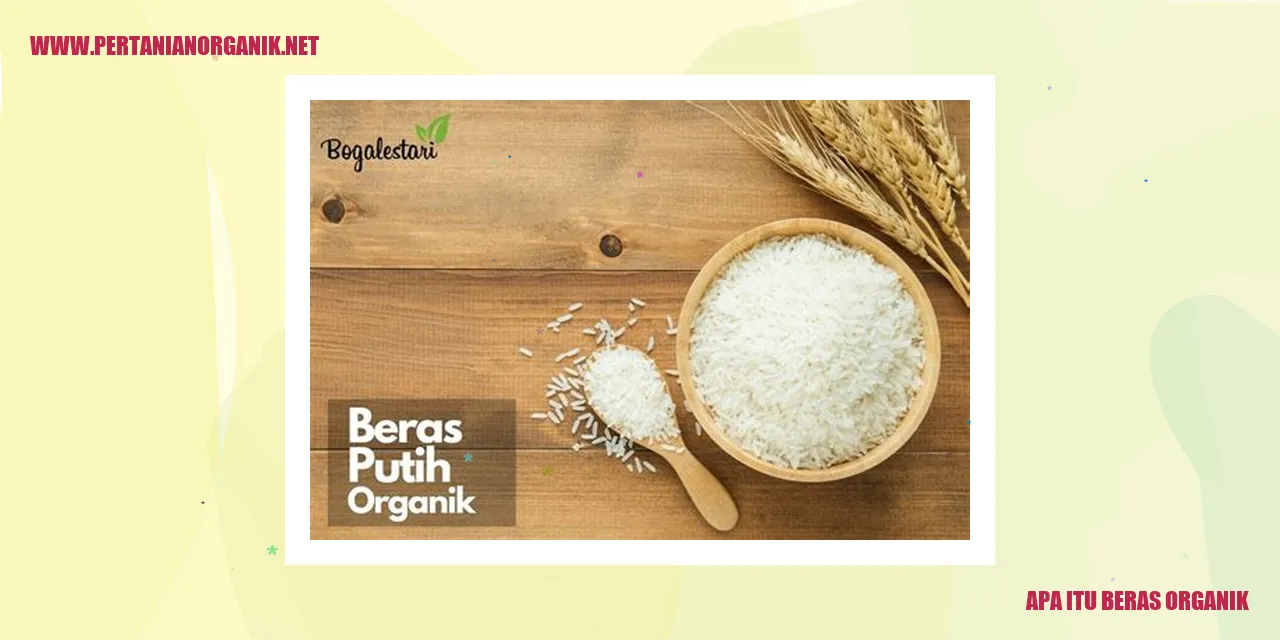 apa itu beras organik