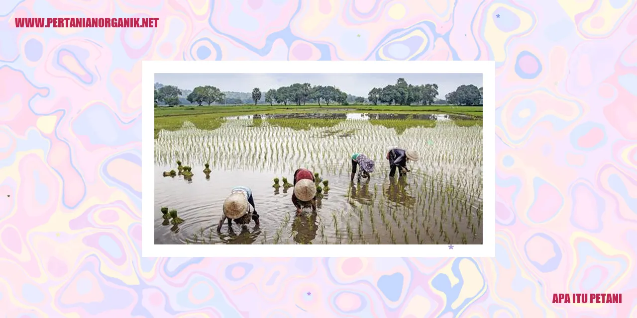 Apa Itu Petani