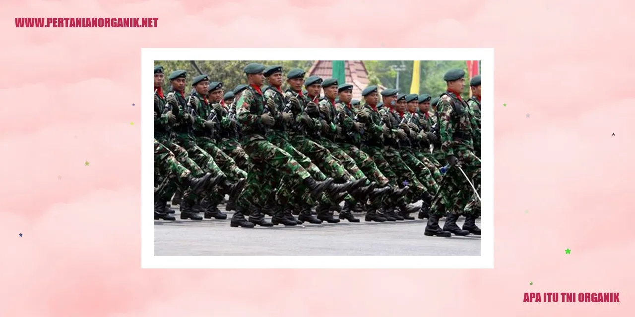 Struktur TNI Organik