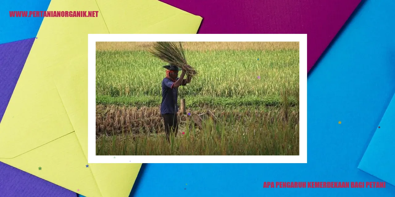 petani mengelola lahan