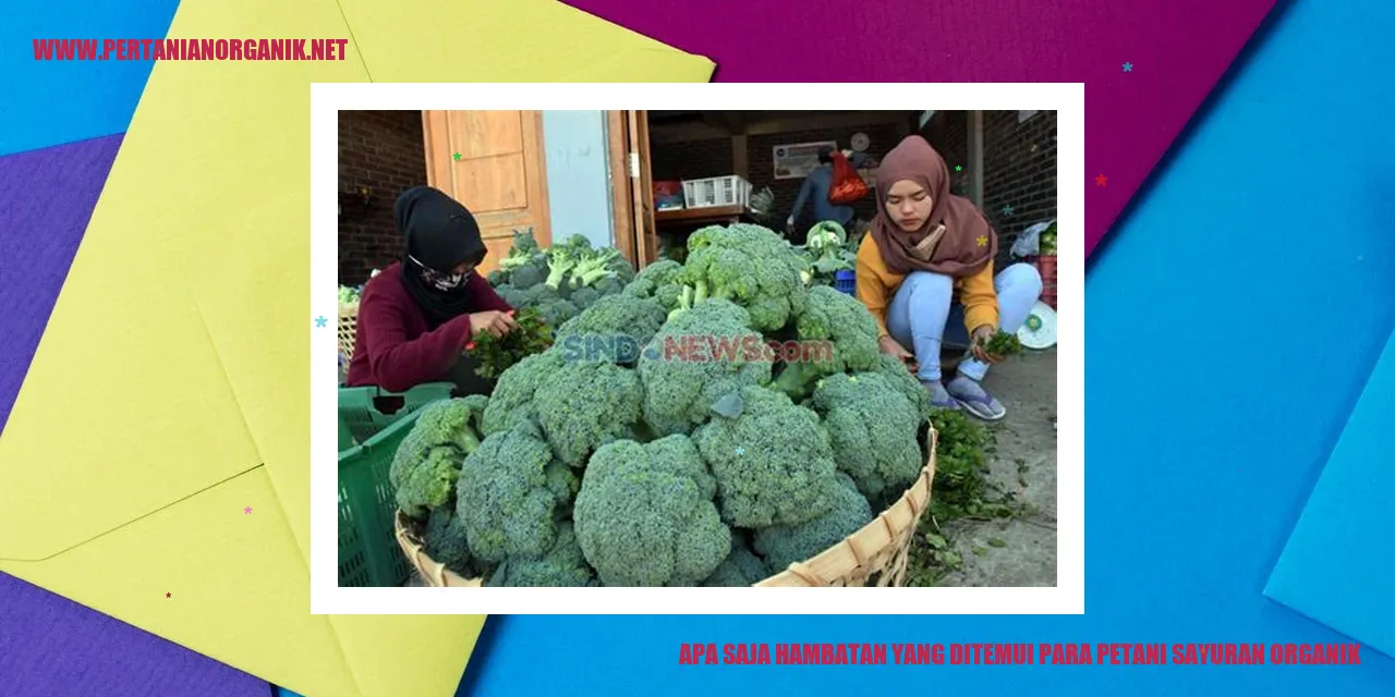 Hambatan Petani Sayuran Organik