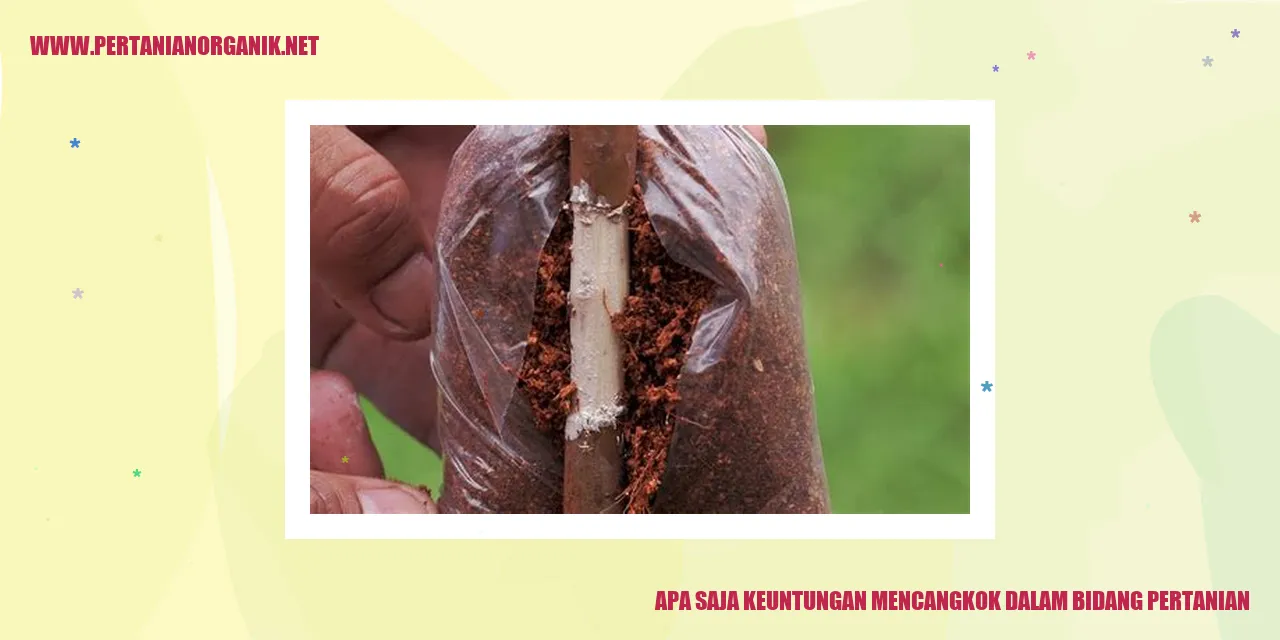 Apa Saja Keuntungan Mencangkok dalam Bidang Pertanian