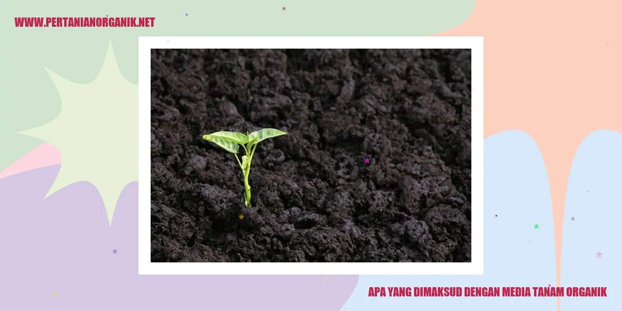 Gambar Media Tanam Organik