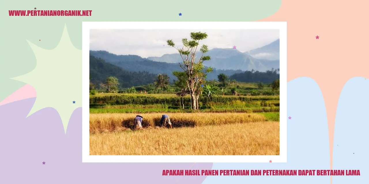 hasil panen pertanian dan peternakan