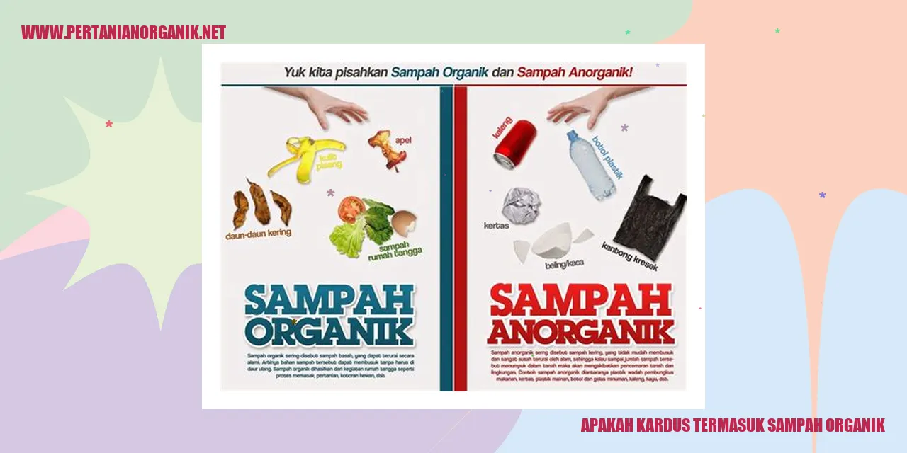 Apakah Kardus Termasuk Sampah Organik