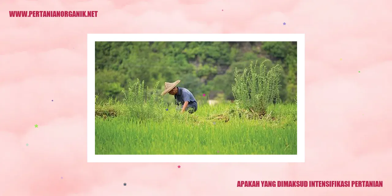 Apakah yang Dimaksud Intensifikasi Pertanian