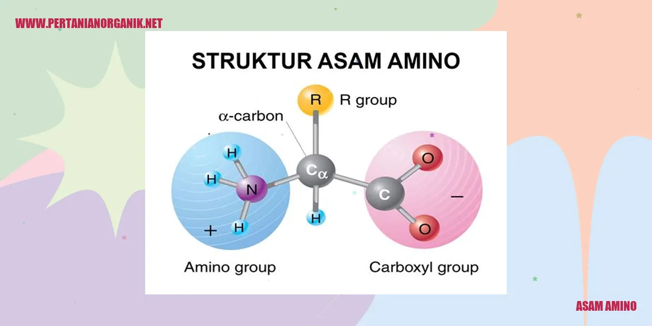 Asam Amino