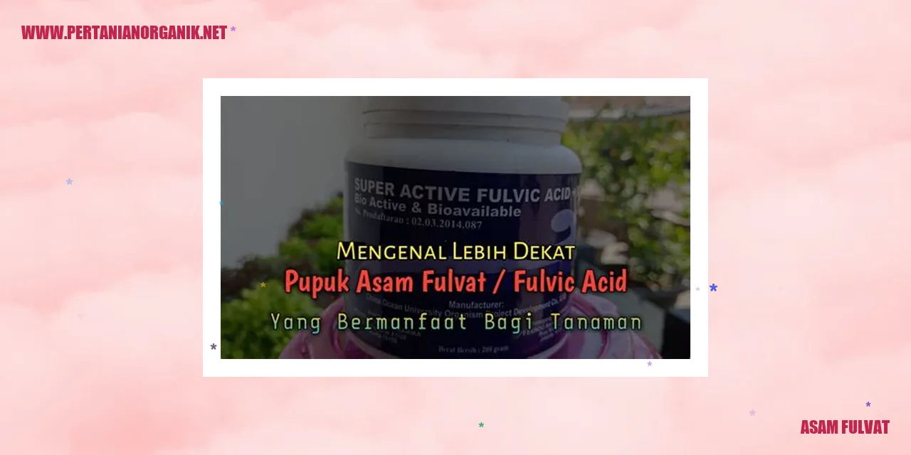 Asam Fulvat