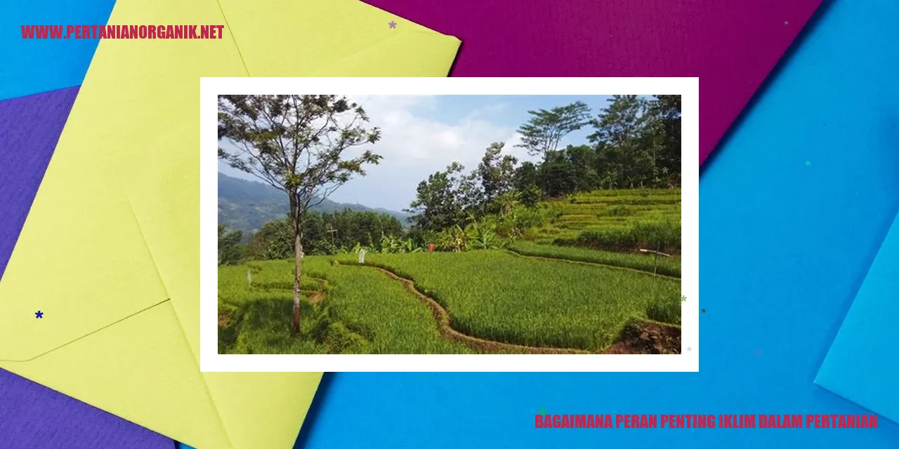 peran iklim dalam pertanian