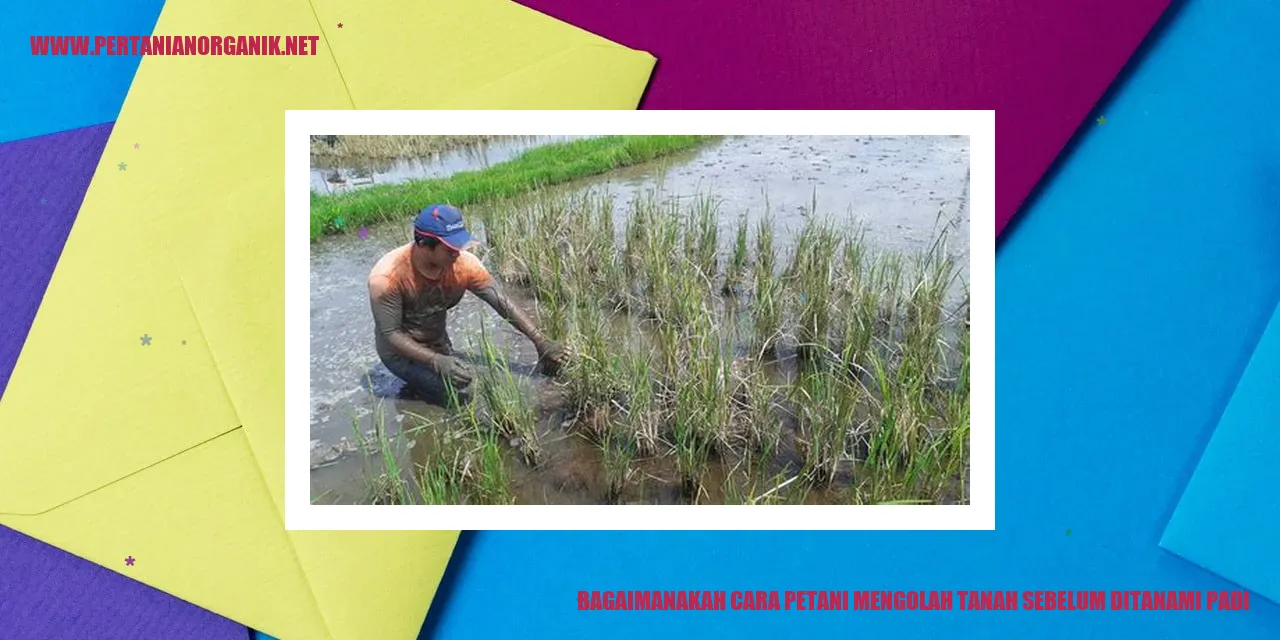 Gambar Petani Mengolah Tanah