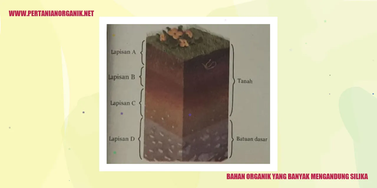 Bahan Organik Mengandung Silika