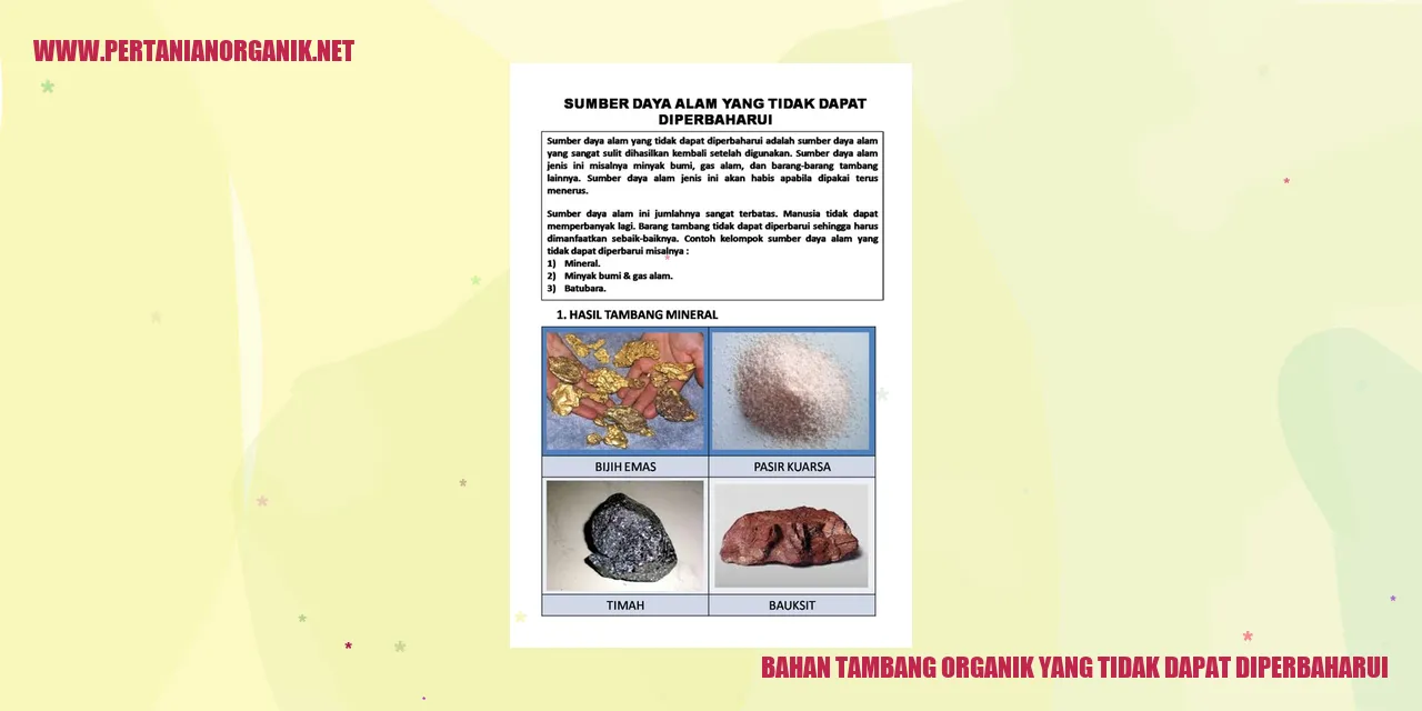 Bahan Tambang Organik yang Tidak Dapat Diperbaharui