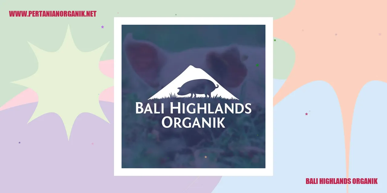 Bali Highlands Organik