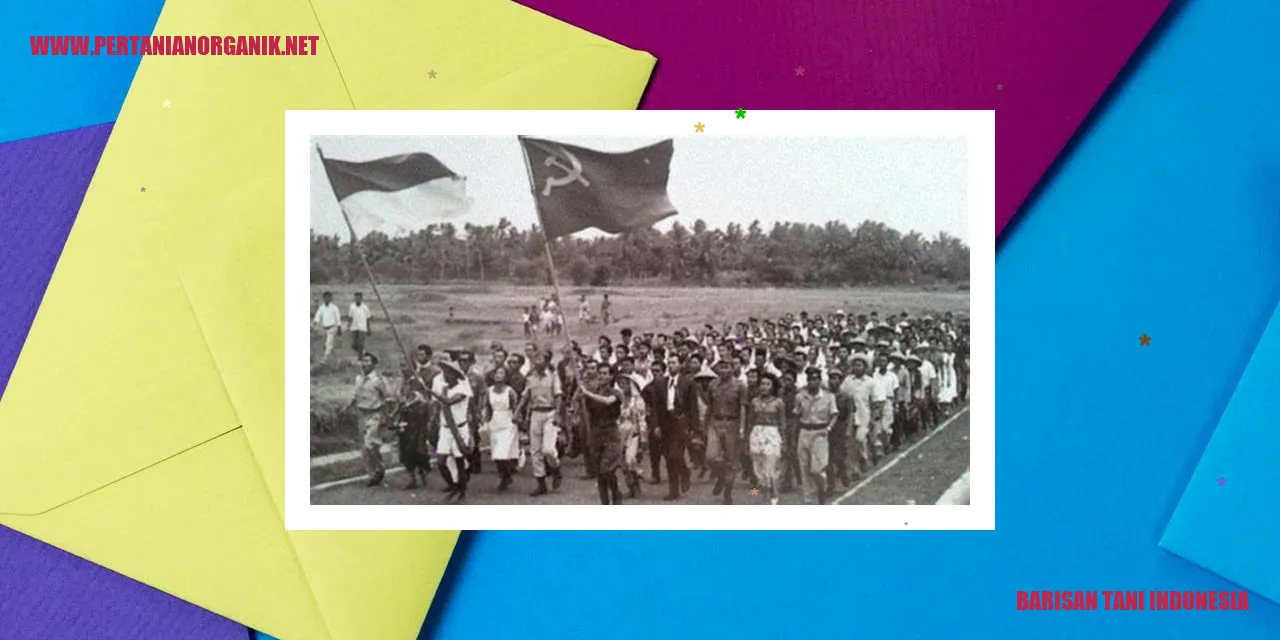 barisan tani indonesia