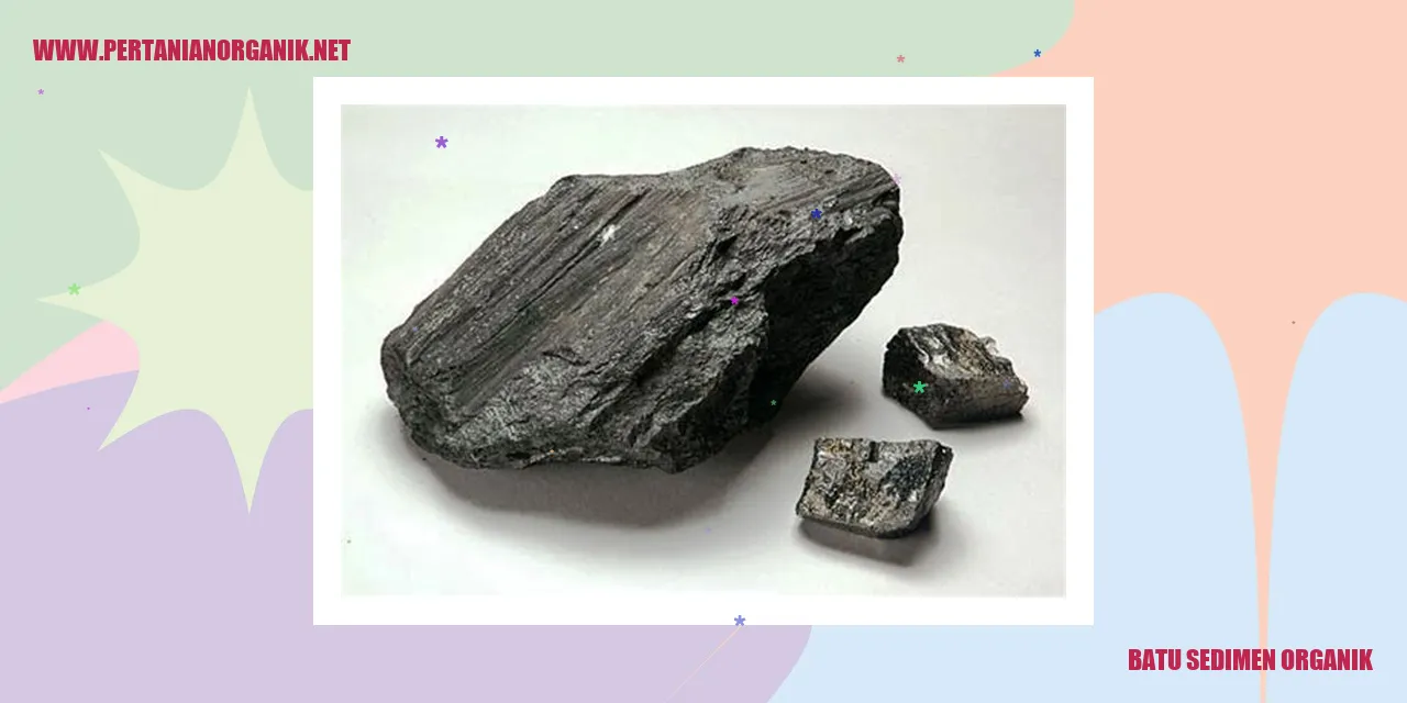 Batu Sedimen Organik