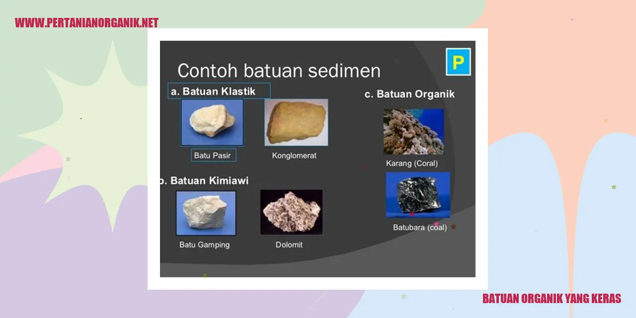 Gambar batuan organik yang keras