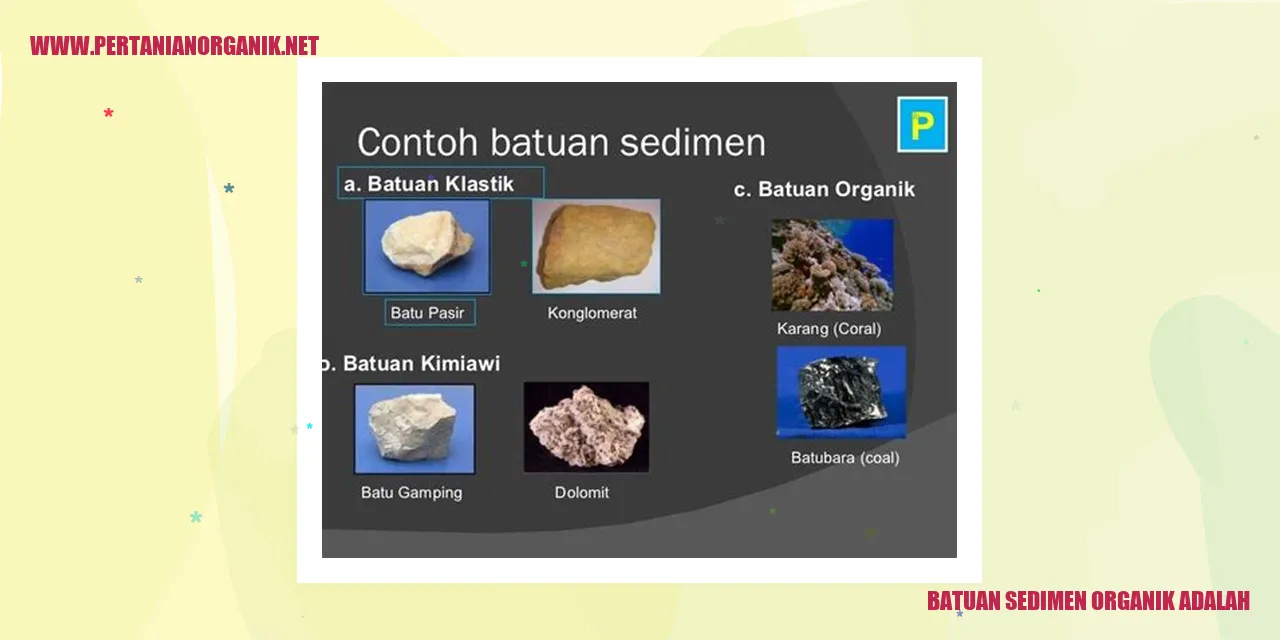 Batuan Sedimen Organik