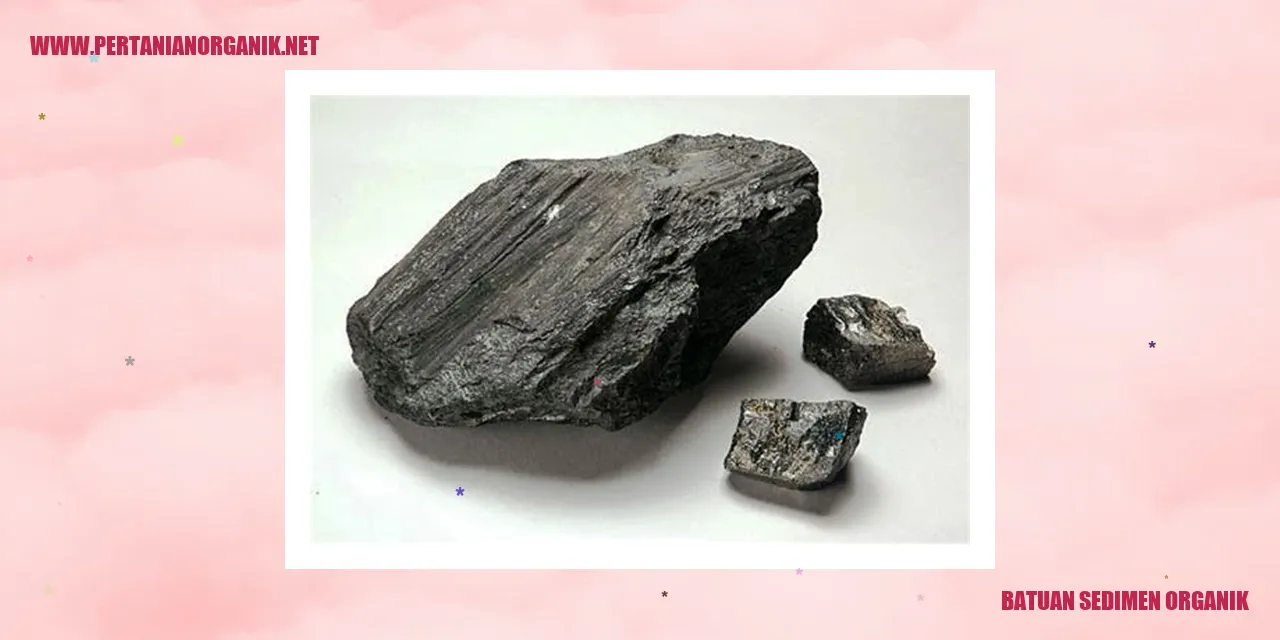 batuan sedimen organik