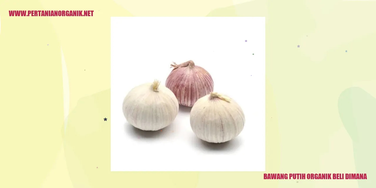 bawang putih organik beli dimana