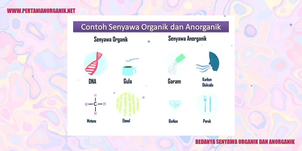 Senyawa Organik