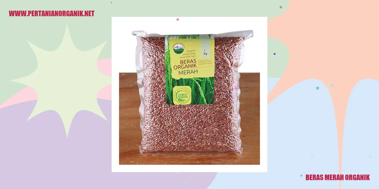 Beras Merah Organik