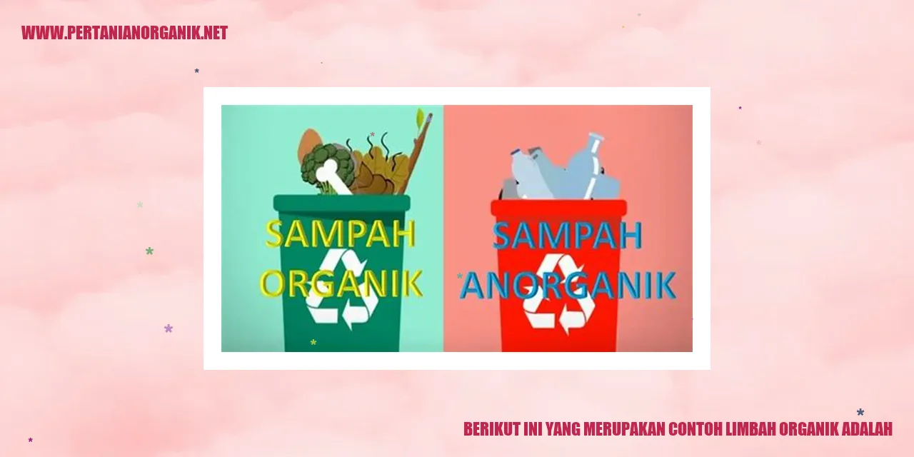 Contoh Limbah Organik