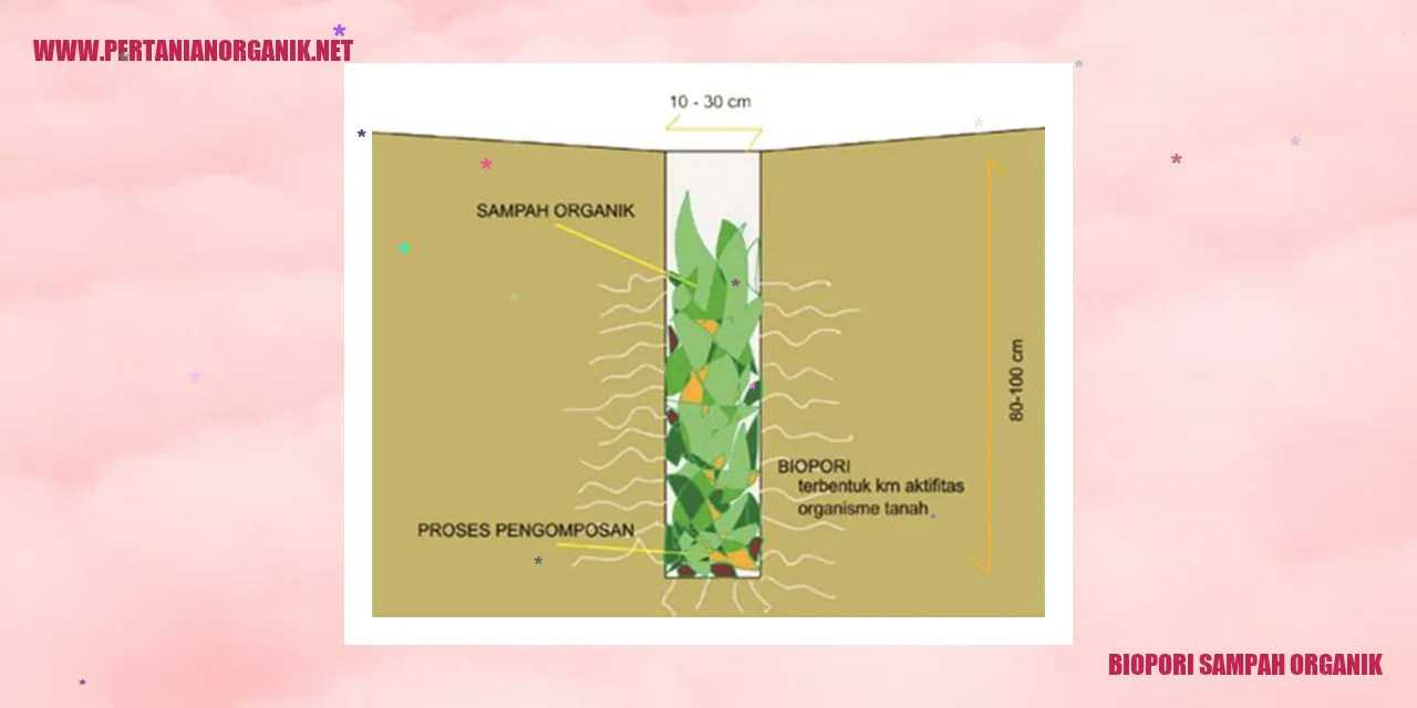 Biopori Sampah Organik