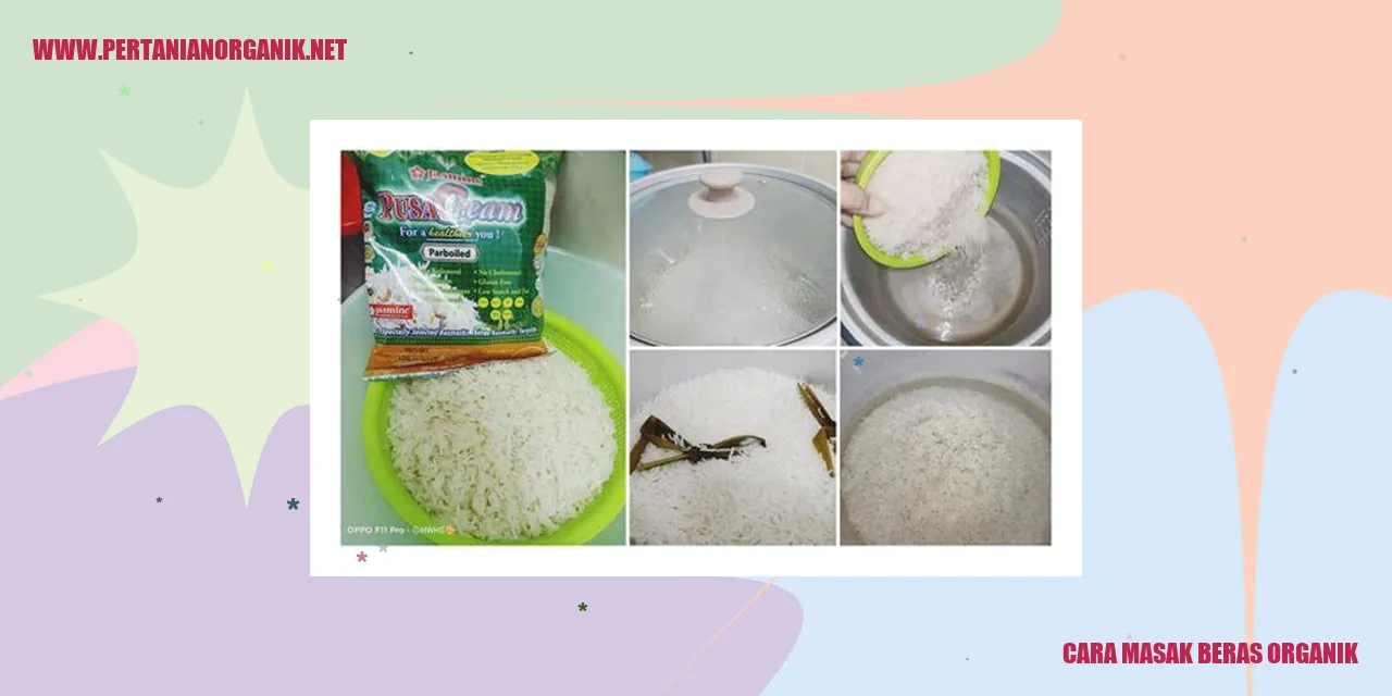 cara masak beras organik