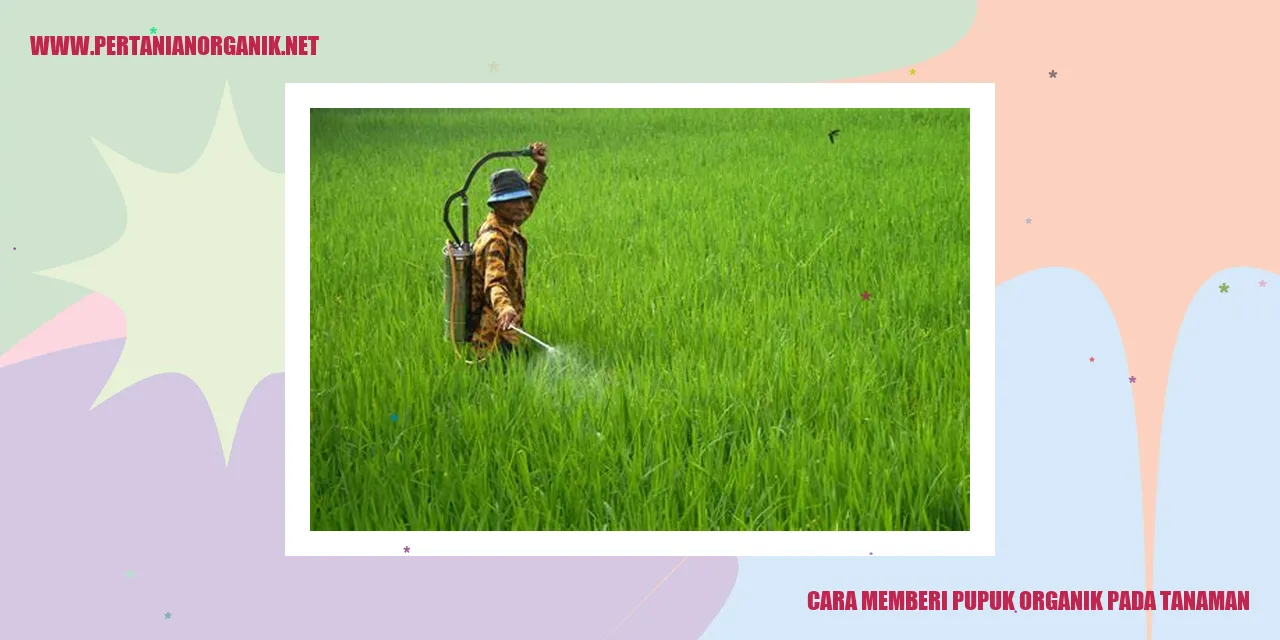 Cara Memberi Pupuk Organik pada Tanaman
