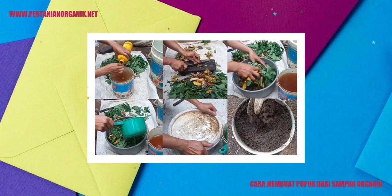 Cara membuat pupuk dari sampah organik