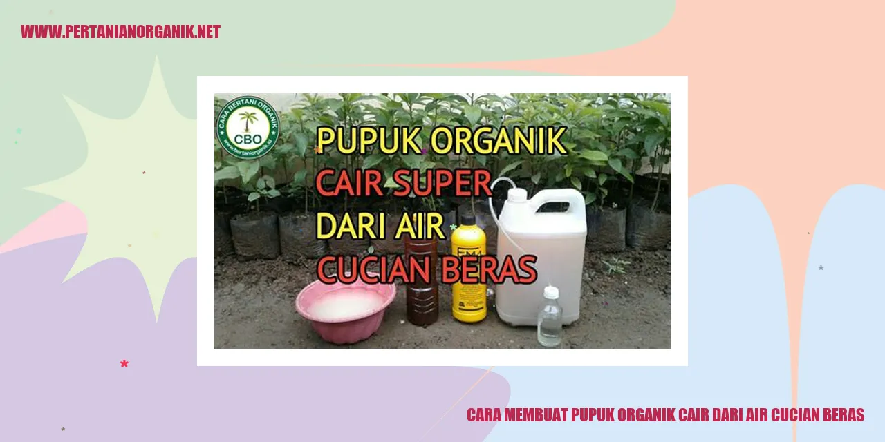 cara membuat pupuk organik cair dari air cucian beras