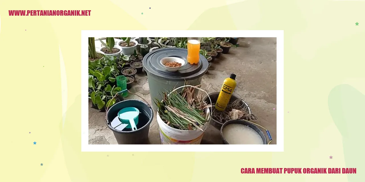 cara membuat pupuk organik dari daun