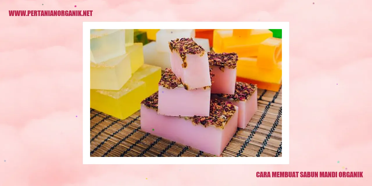 cara membuat sabun mandi organik