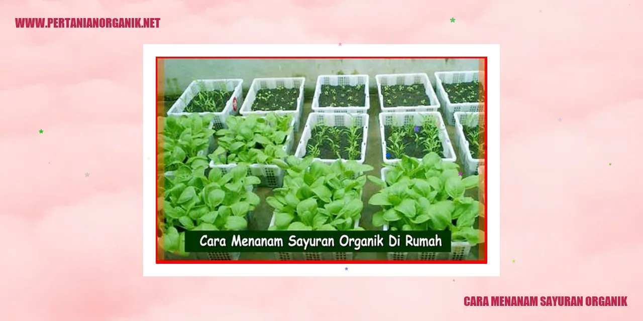 Cara Menanam Sayuran Organik