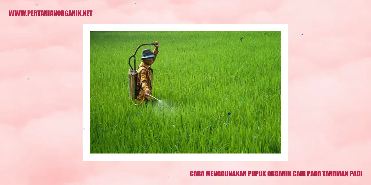 cara menggunakan pupuk organik cair pada tanaman padi