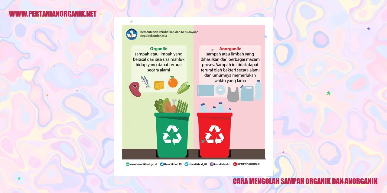 Cara Mengolah Sampah Organik dan Anorganik