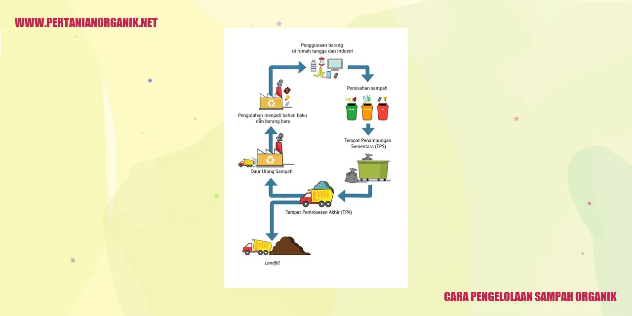 Cara Pengelolaan Sampah Organik