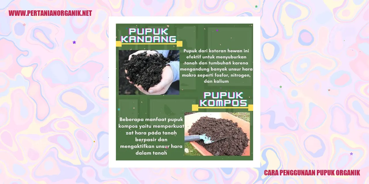 Cara Penggunaan Pupuk Organik