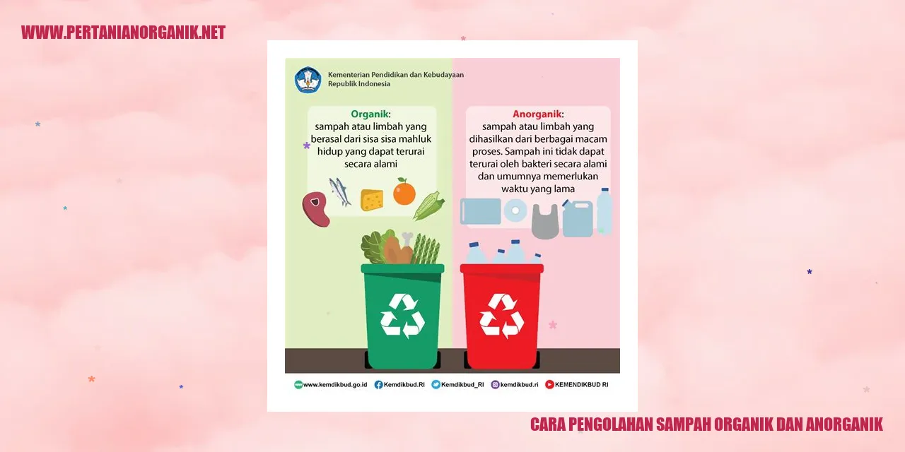 Cara Pengolahan Sampah Organik dan Anorganik