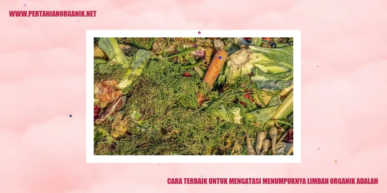 Cara Terbaik untuk Mengatasi Menumpuknya Limbah Organik adalah dengan Mengkompos