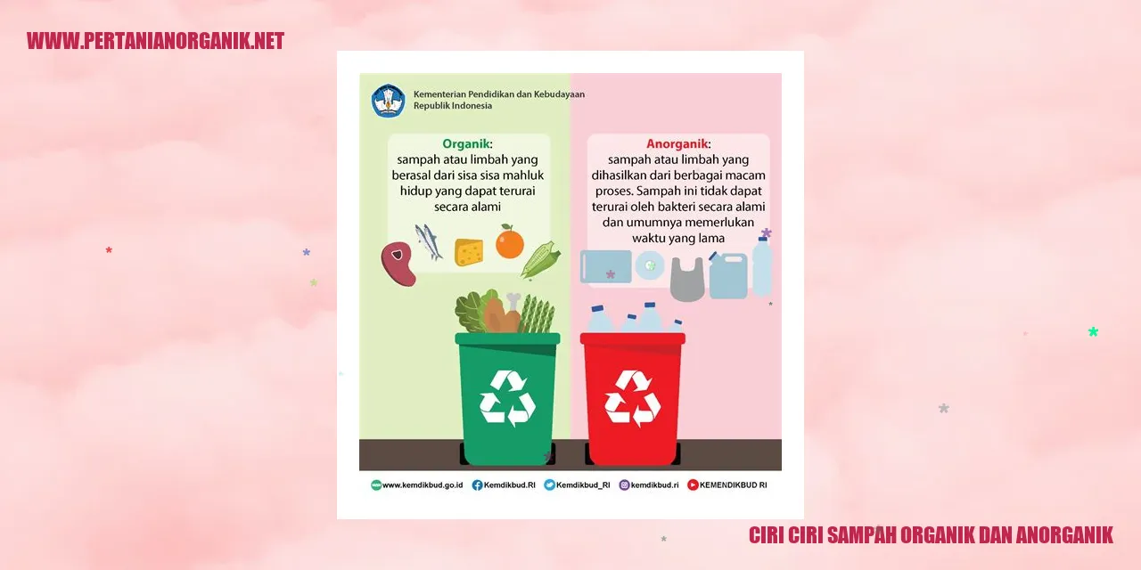 ciri ciri sampah organik dan anorganik