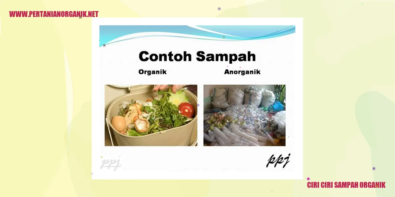 ciri ciri sampah organik