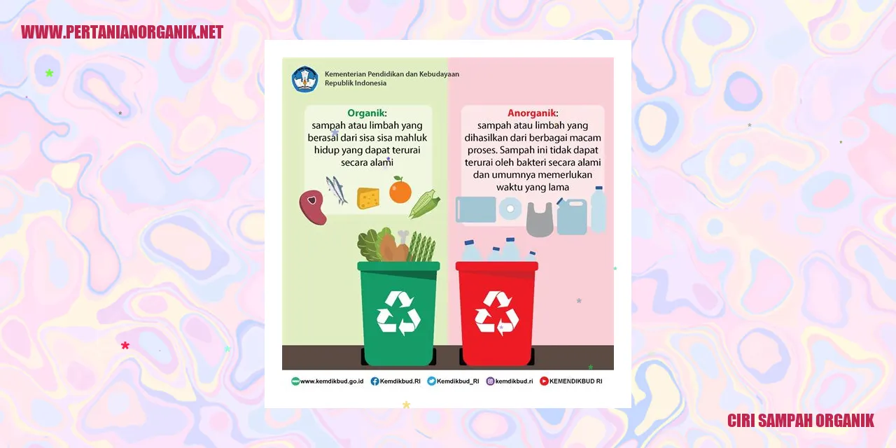 Sampah Organik