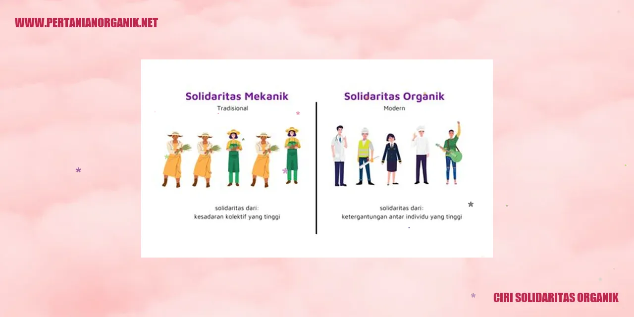 ciri solidaritas organik