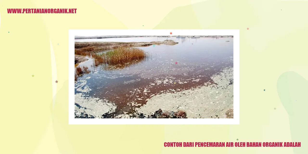 contoh dari pencemaran air oleh bahan organik adalah