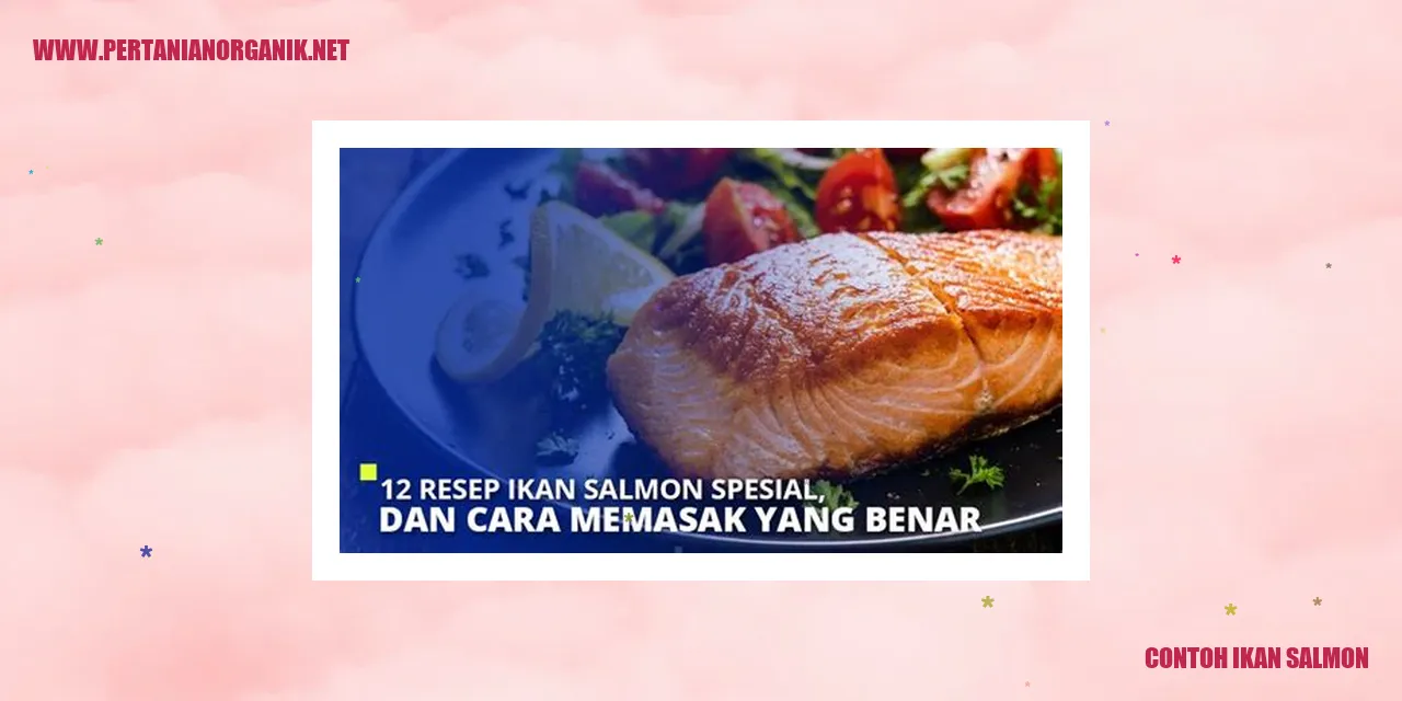 Contoh Ikan Salmon